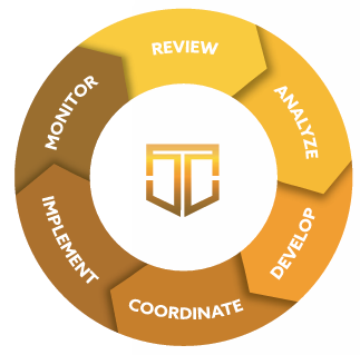 Tailored wealth Solutions financial planning process wheel